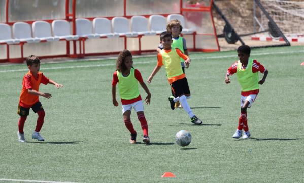 Treino de capta&#231;&#227;o