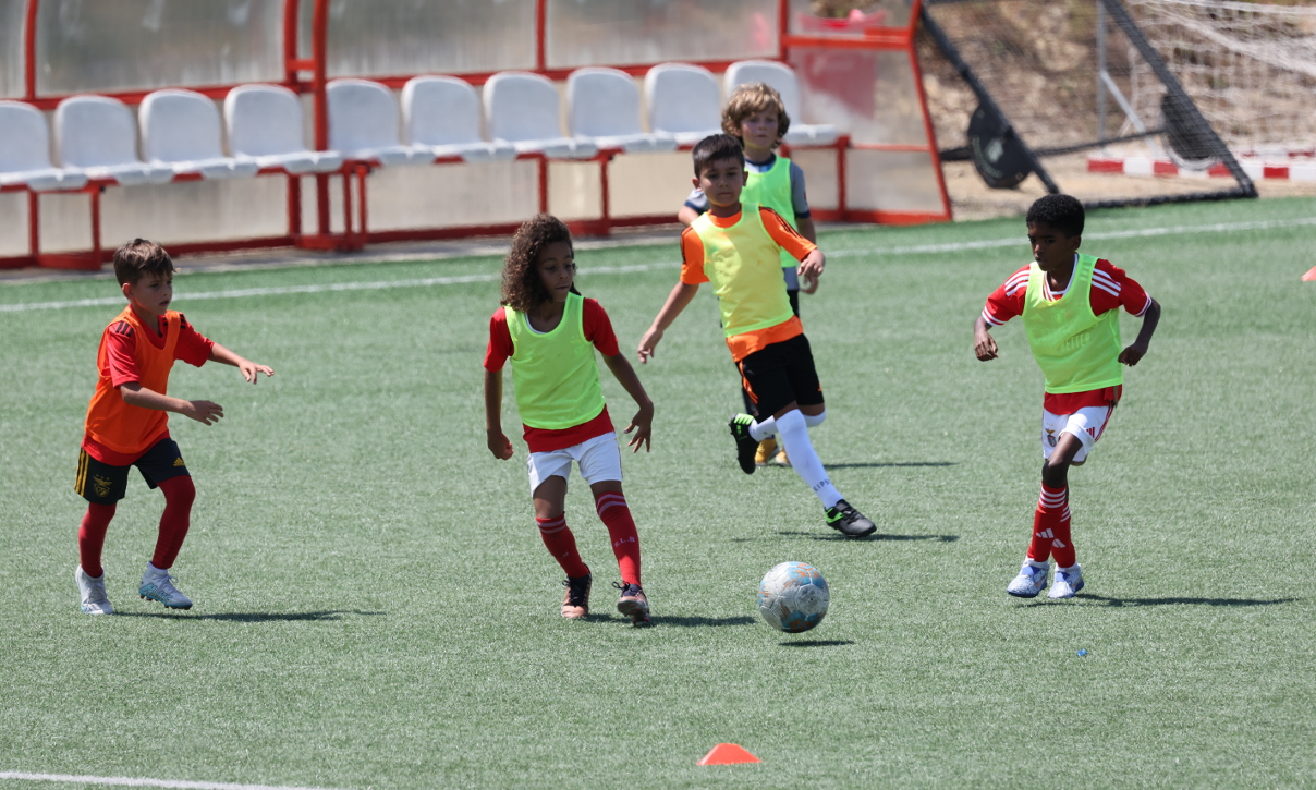 Treino de captação