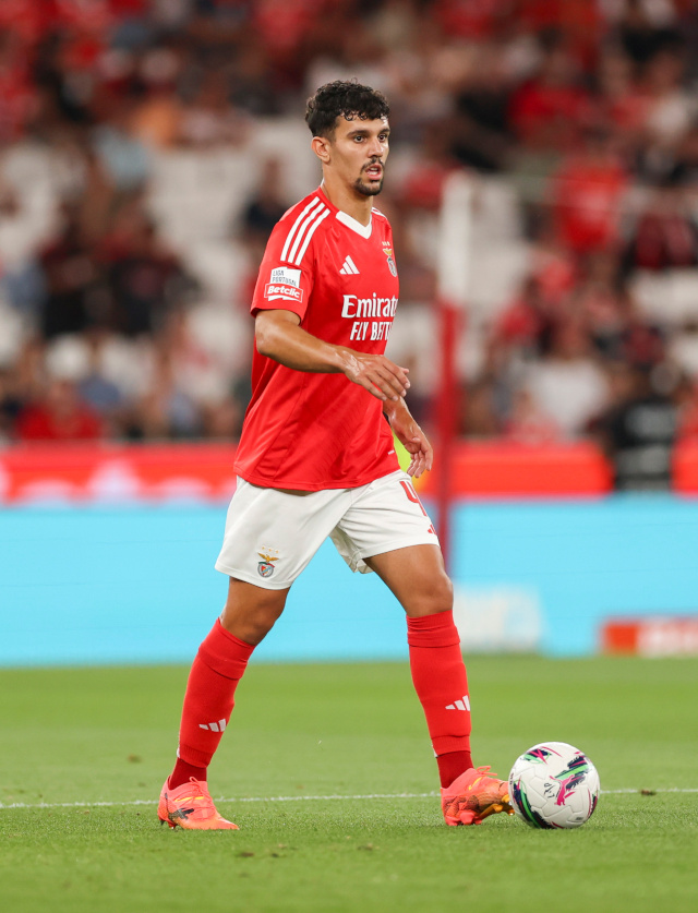 Tomás Araújo