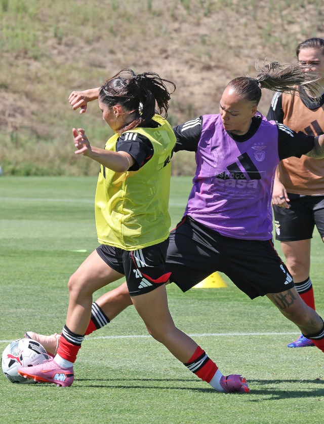 Treino