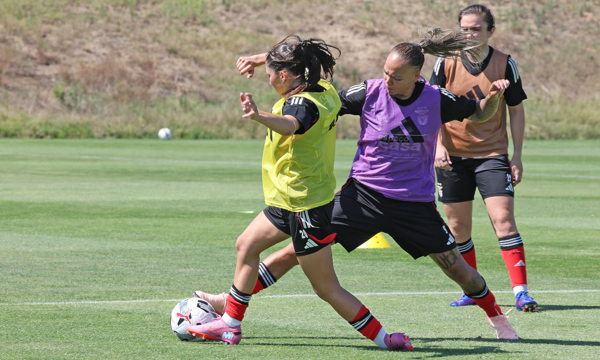 Treino