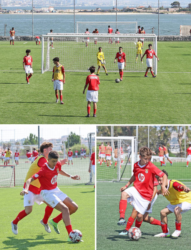 Elite Training Camps