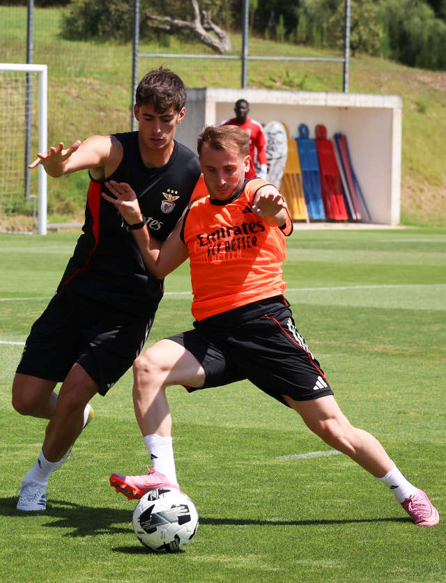 Ant&#243;nio Silva and Akt&#252;rkoğlu