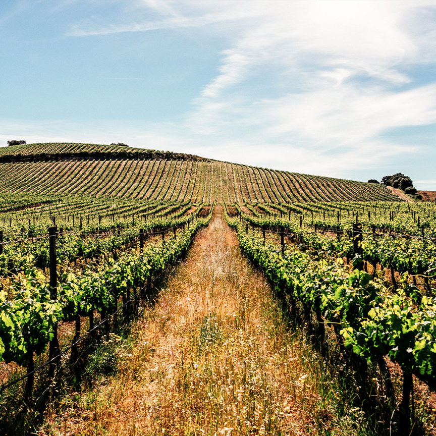Paisagem da Região do Alentejo - Sul do país