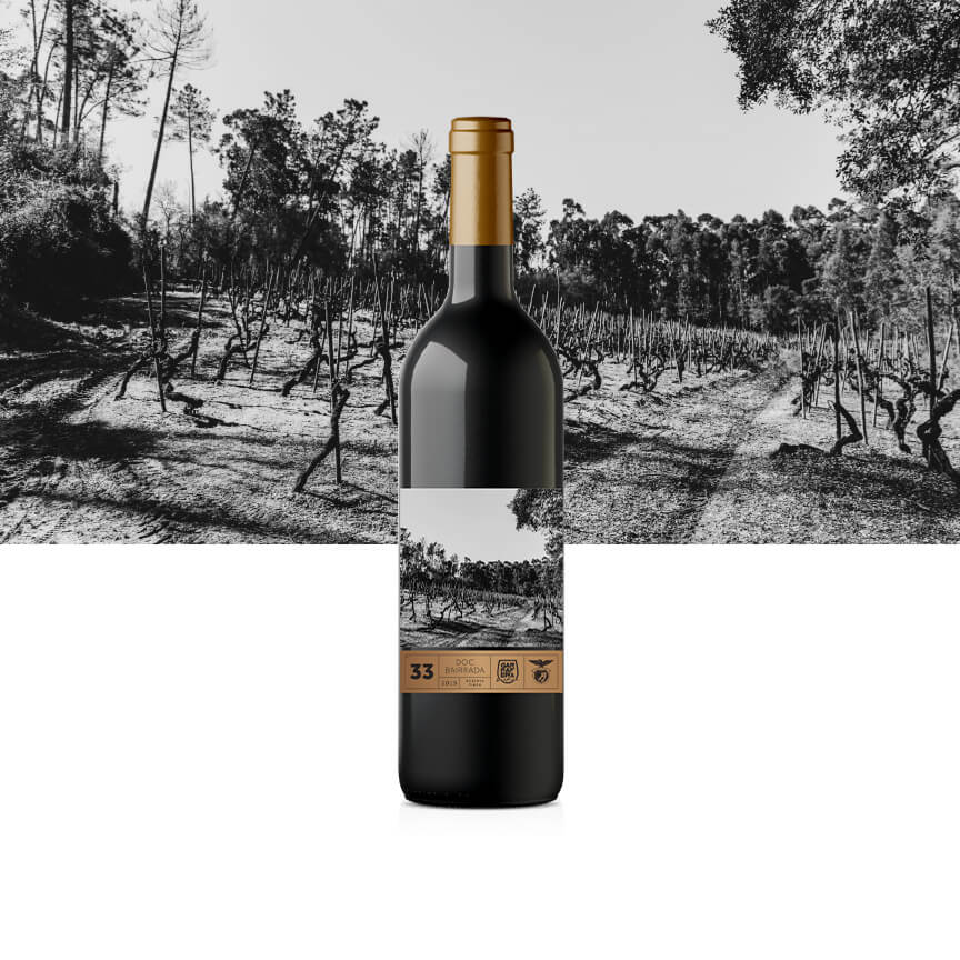 Vinho Tinto DOC Reserva 2015 Bairrada