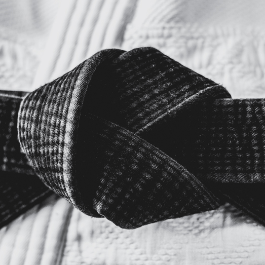 Vinho Espumante Bruto Colheita DOC Bairrada