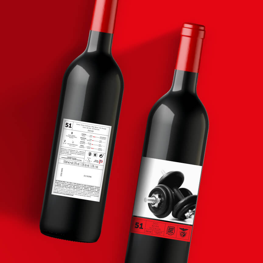 Vinho Tinto Colheita 2020 DOC Beira Interior