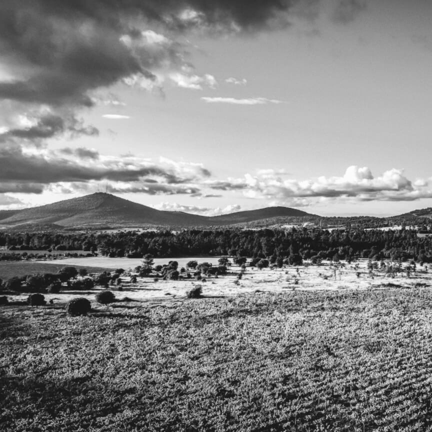 Vinho Tinto Reserva 2020 DOC Terras das Beiras