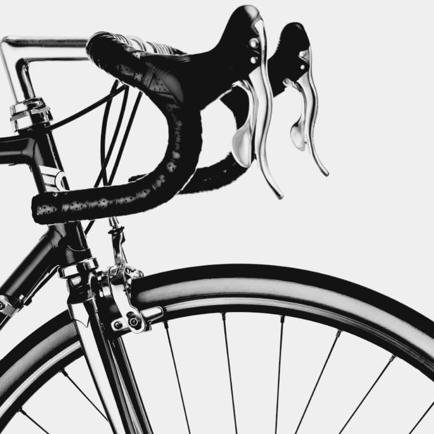 White Wine Harvest 2019 Lisboa