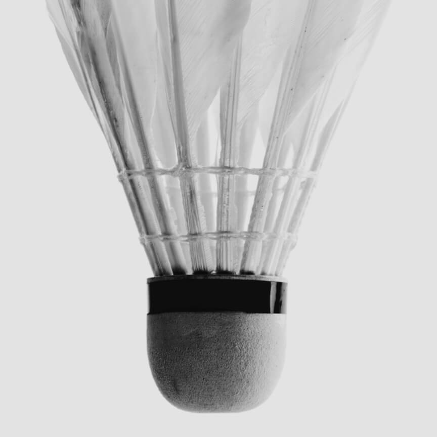 Vinho Branco Colheita 2019 Península de Setúbal